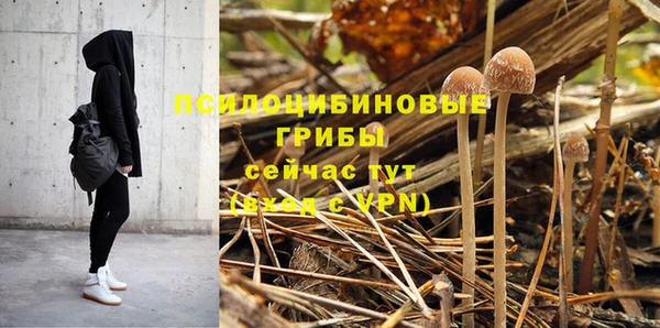 молекула духа Елабуга