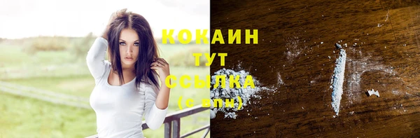 соль курить ск Ельня