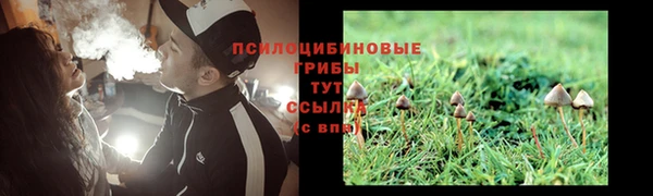 молекула духа Елабуга