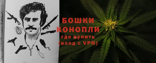 молекула духа Елабуга