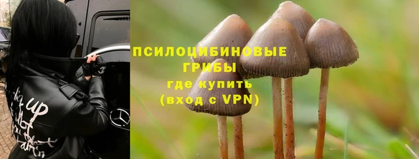 соль курить ск Ельня