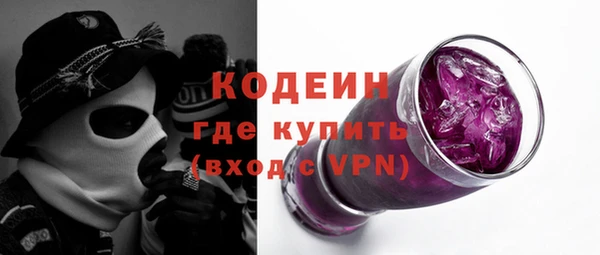 молекула духа Елабуга