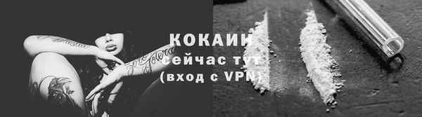 молекула духа Елабуга