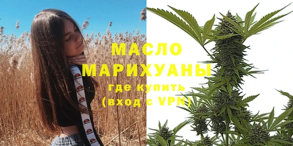 молекула духа Елабуга
