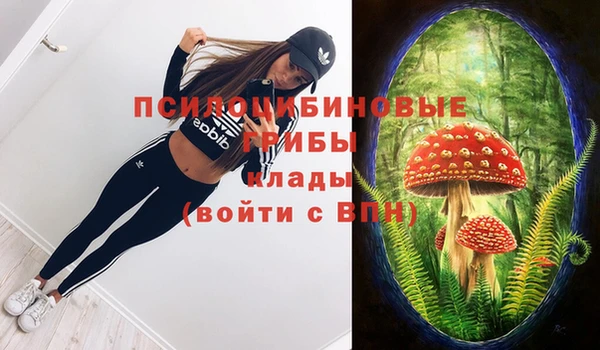 соль курить ск Ельня