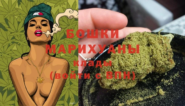 молекула духа Елабуга
