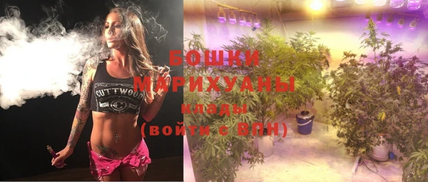 молекула духа Елабуга