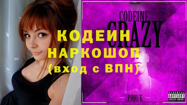 молекула духа Елабуга