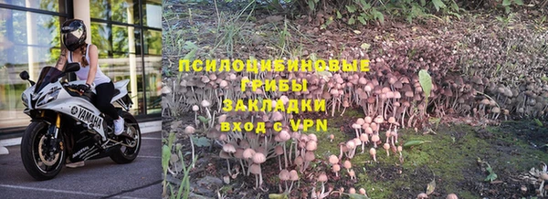 соль курить ск Ельня