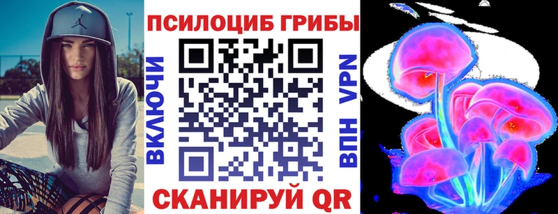 Купить  Любань  Галлюциногенные грибы Psilocybine cubensis 